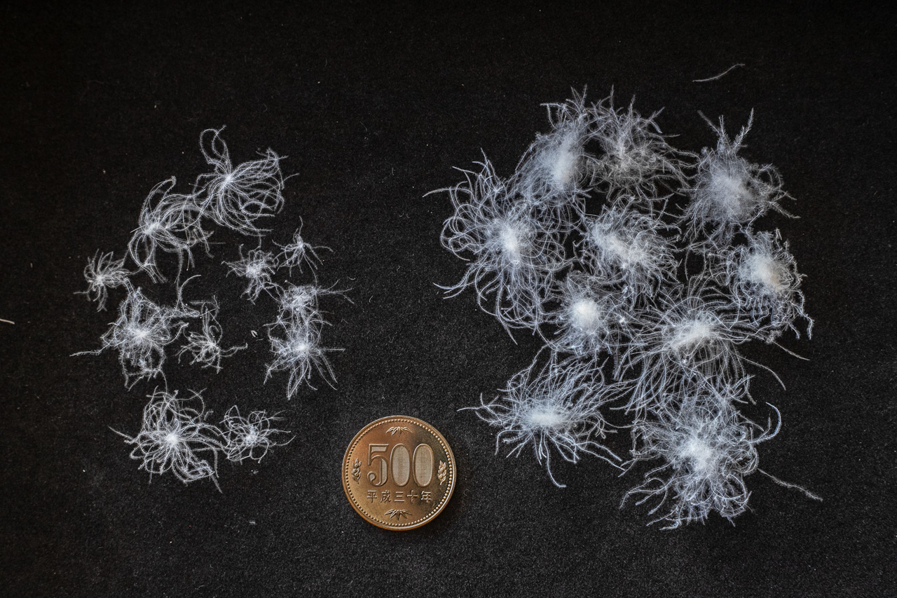 ジャパネットたかた羽毛布団比較 - 快眠屋おの<公式サイト> ジャパネットたかた羽毛布団比較