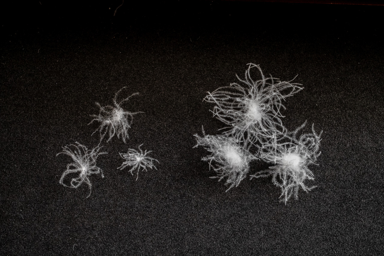 ジャパネットたかた羽毛布団比較3 - 快眠屋おの<公式サイト> ジャパネットたかた羽毛布団比較3