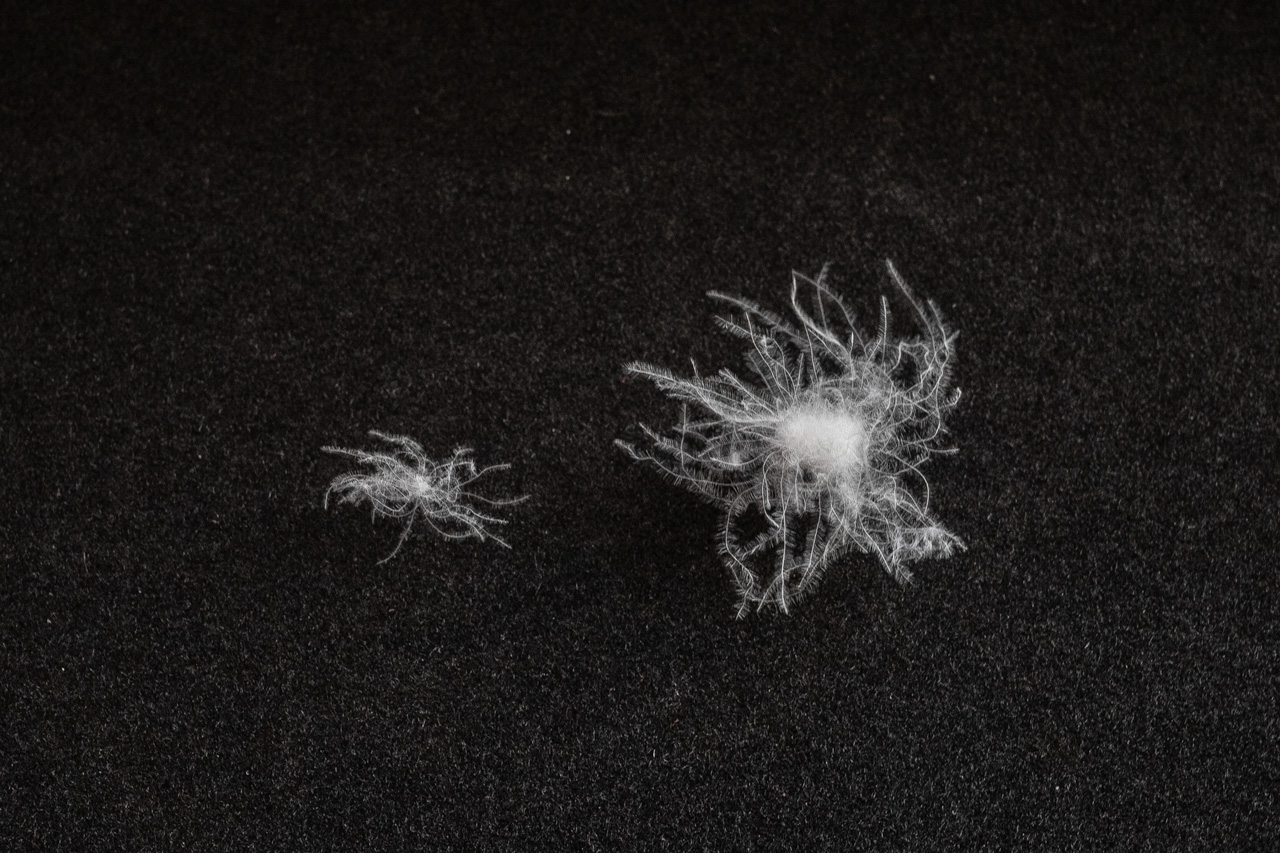 ジャパネットたかた羽毛布団比較2 - 快眠屋おの<公式サイト> ジャパネットたかた羽毛布団比較2